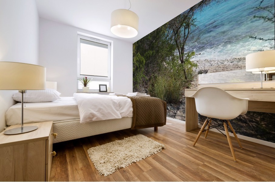 Bonaire Pathway Mural print