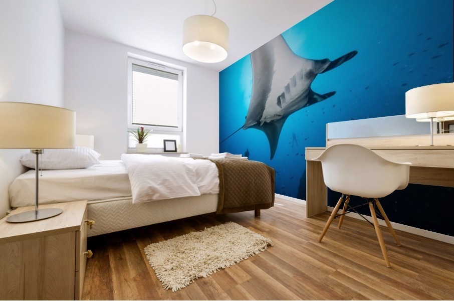 Manta bottom Mural print