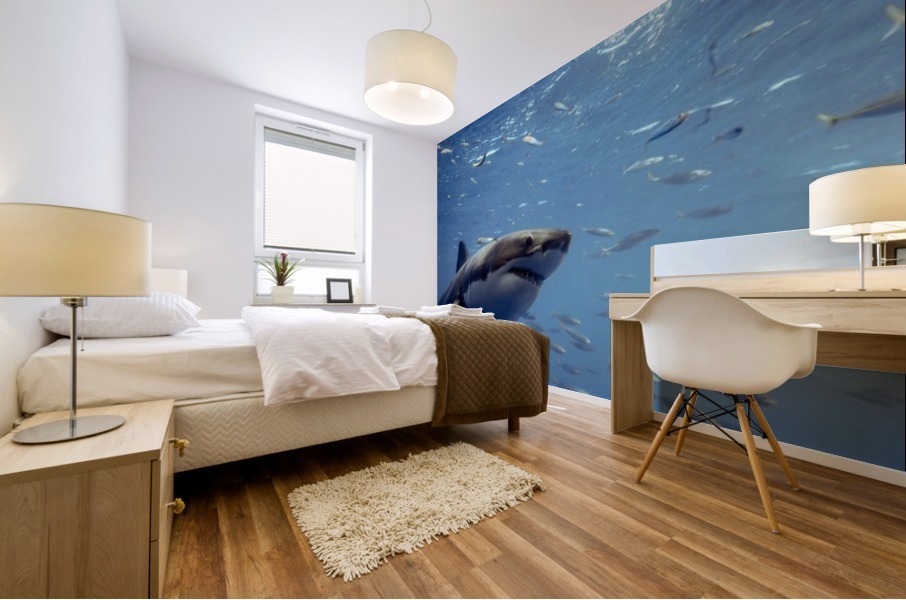 Great White Close Mural print