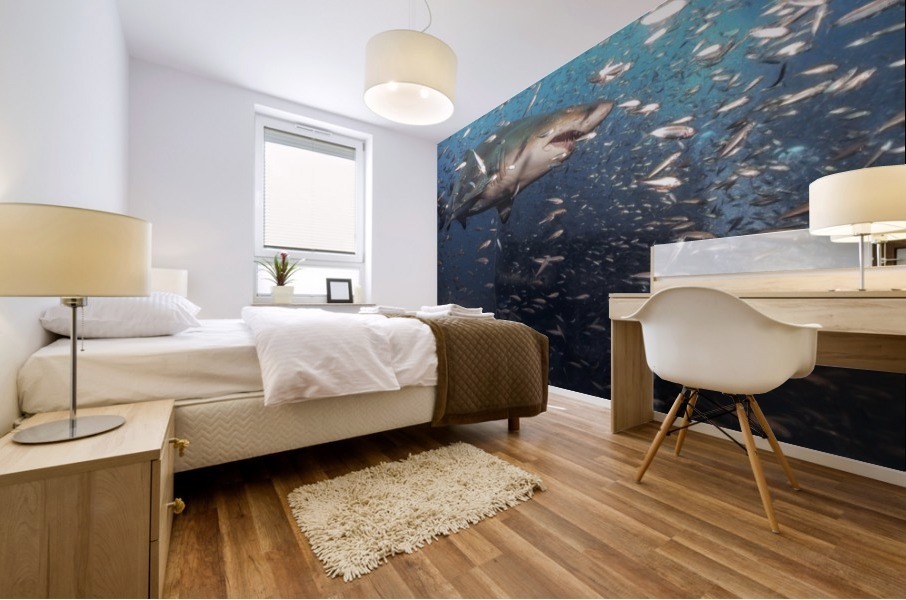 Sand Tiger Close Mural print