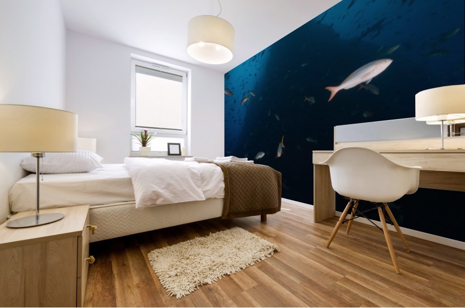 Up Shot Mural print