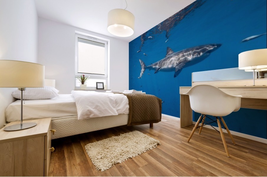 Great White Solo Mural print