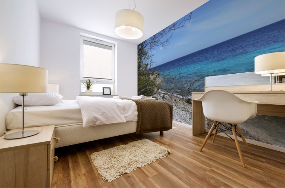 Bonaire Beach Scape Mural print