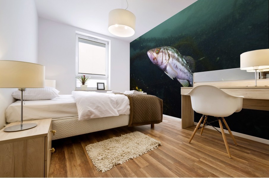 Bass California  Mural print