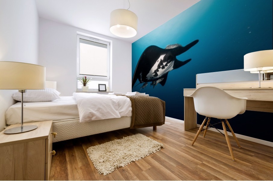 Manta Close Mural print