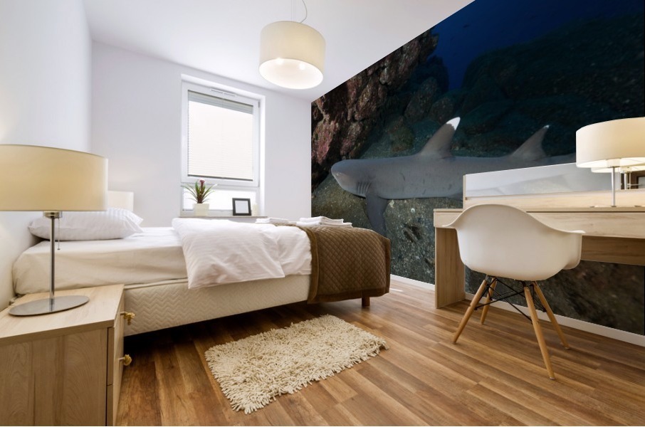 Manta Mural print