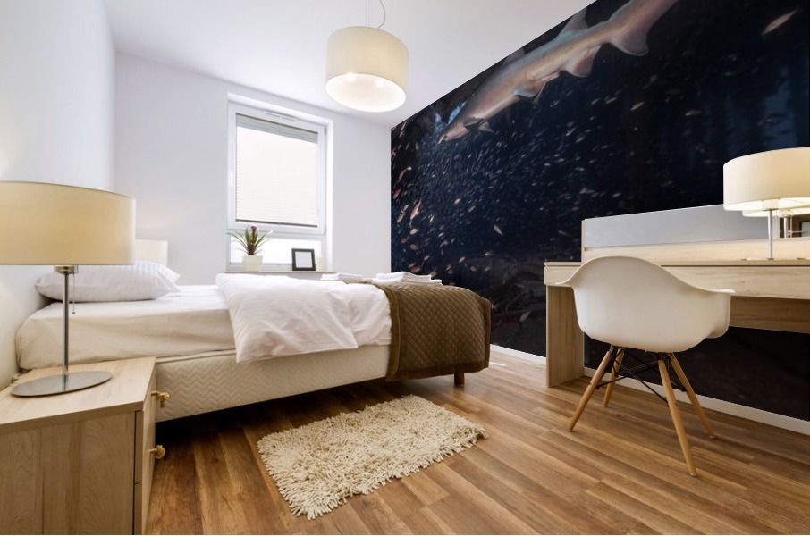 Sand Tiger Mural print