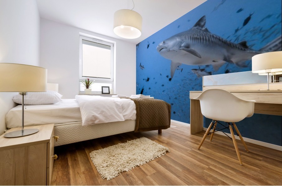 Tiger Shark Mural print