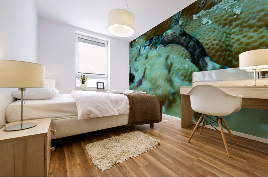Philipines 63 Mural print