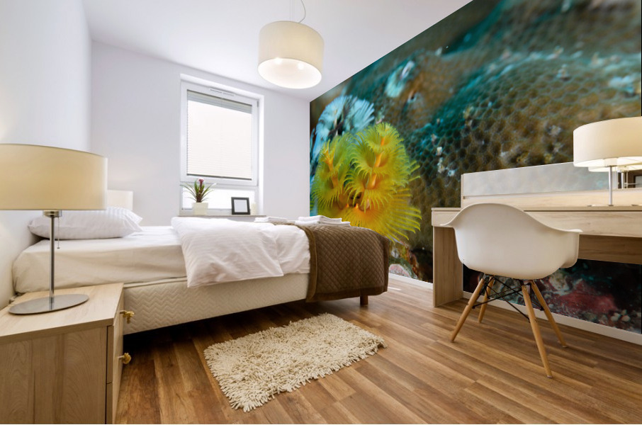 Philipines 61 Mural print