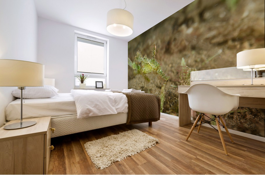 Philipines 170 Mural print