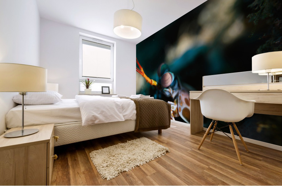 Philipines 276 Mural print