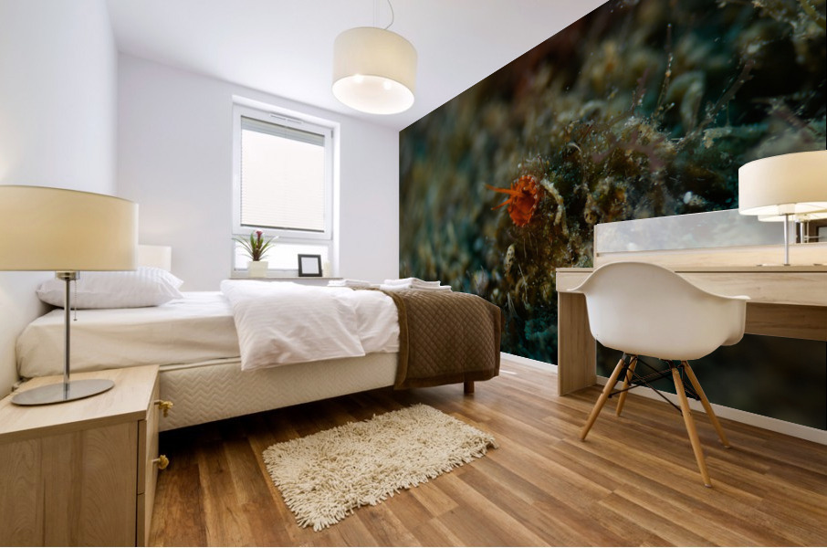 Philipines 237 Mural print