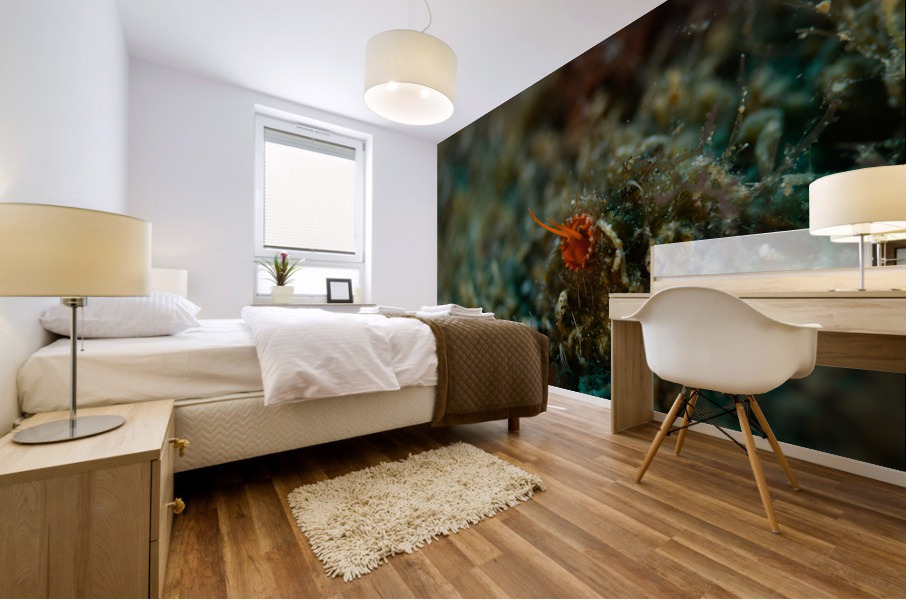 Philipines 236 Mural print