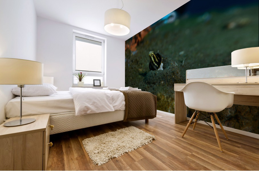 Philipines 269 Mural print