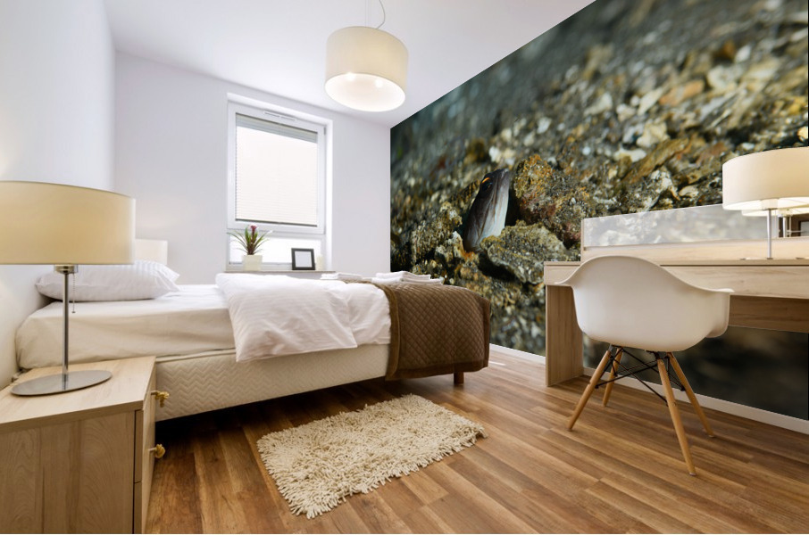 Philipines 287 Mural print