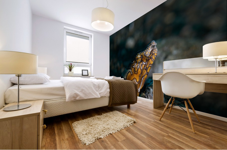Philipines 351 Mural print