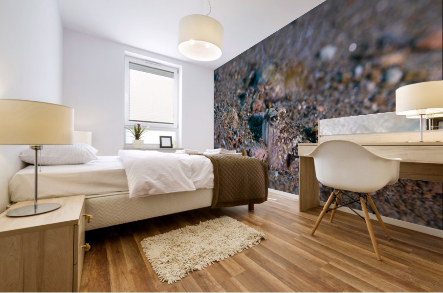 Philipines 357 Mural print