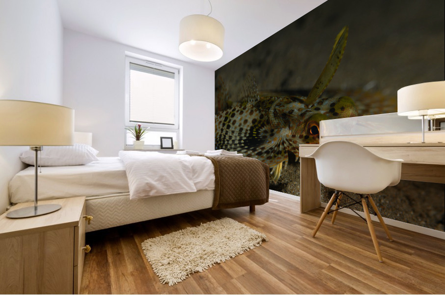 Philipines 325 Mural print