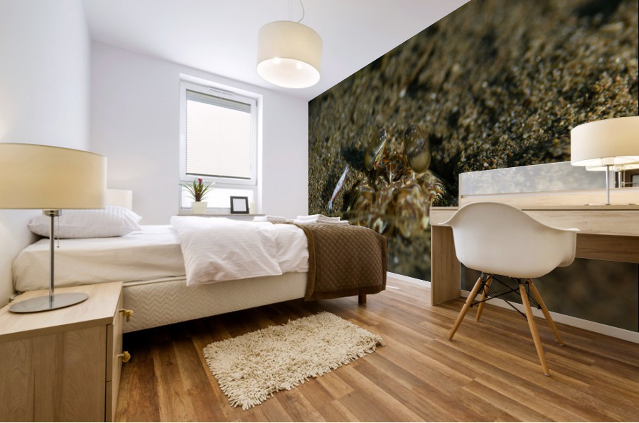 Philipines 292 Mural print