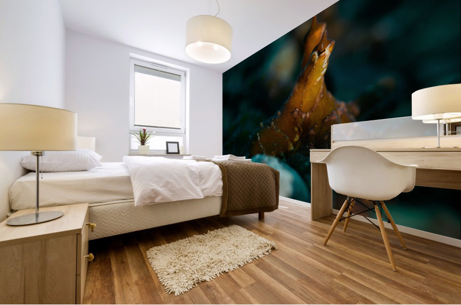 Philipines 354 Mural print