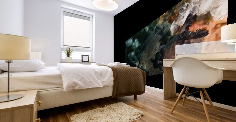 Philipines 336 Mural print