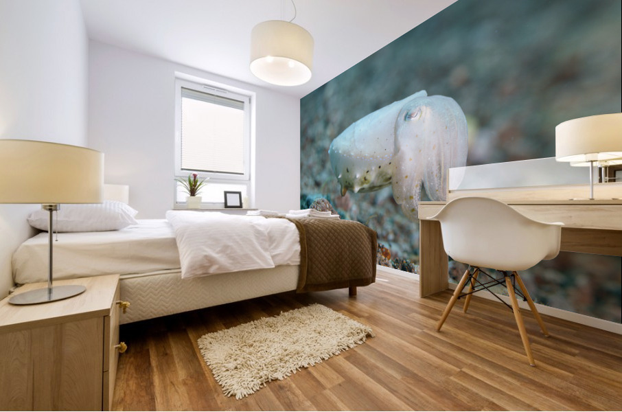Philipines 346 Mural print