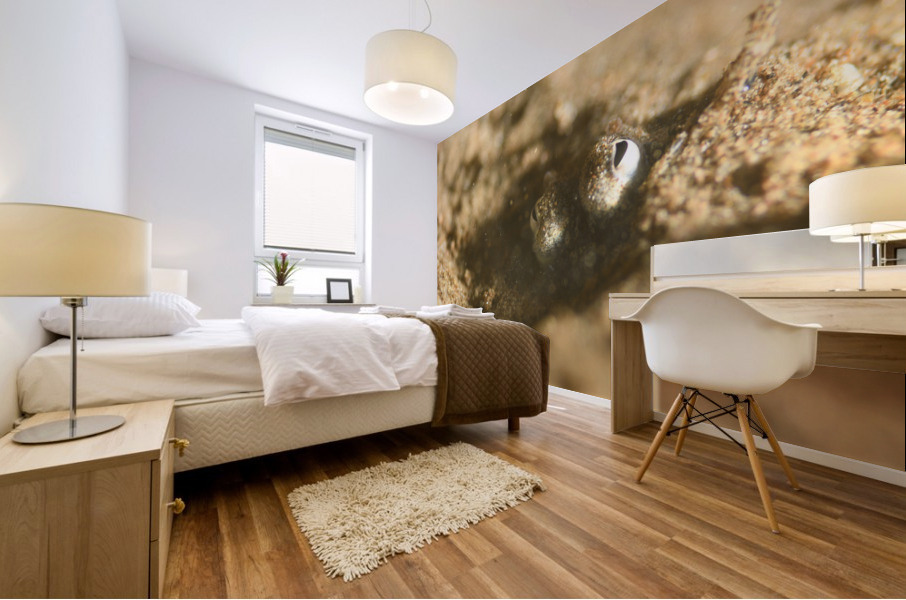 Philipines 330 Mural print