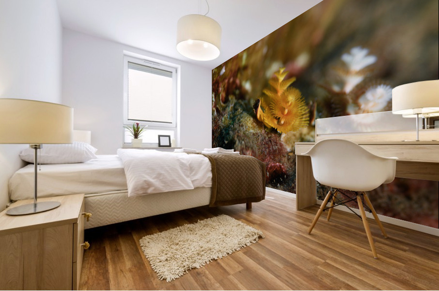 Philipines 339 Mural print