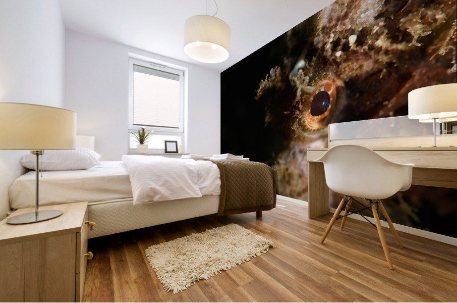 Philipines 343 Mural print
