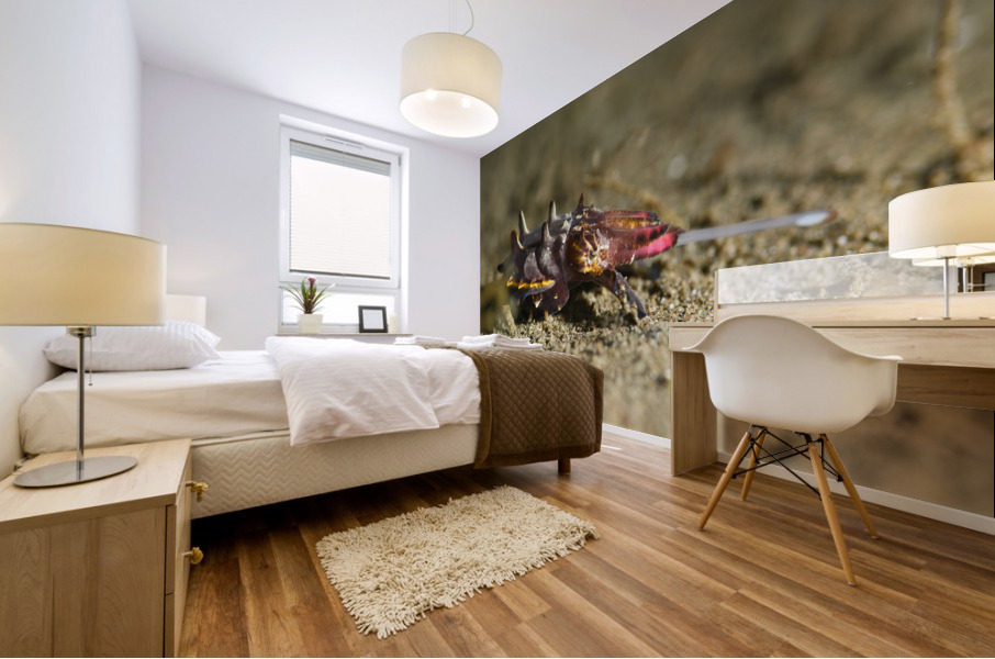 Philipines 303 Mural print
