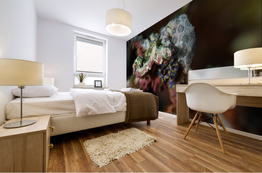 Philipines 383 Mural print