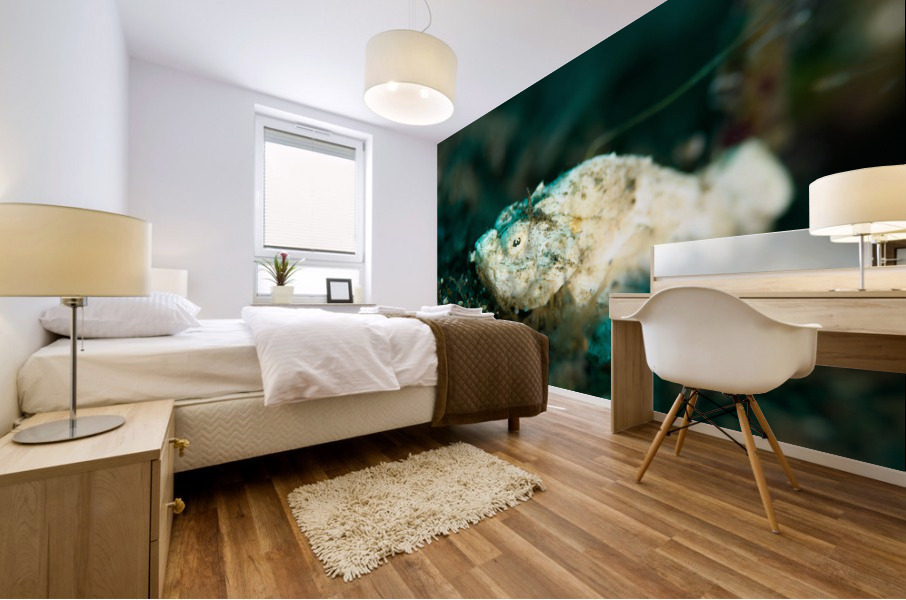 Philipines 369 Mural print