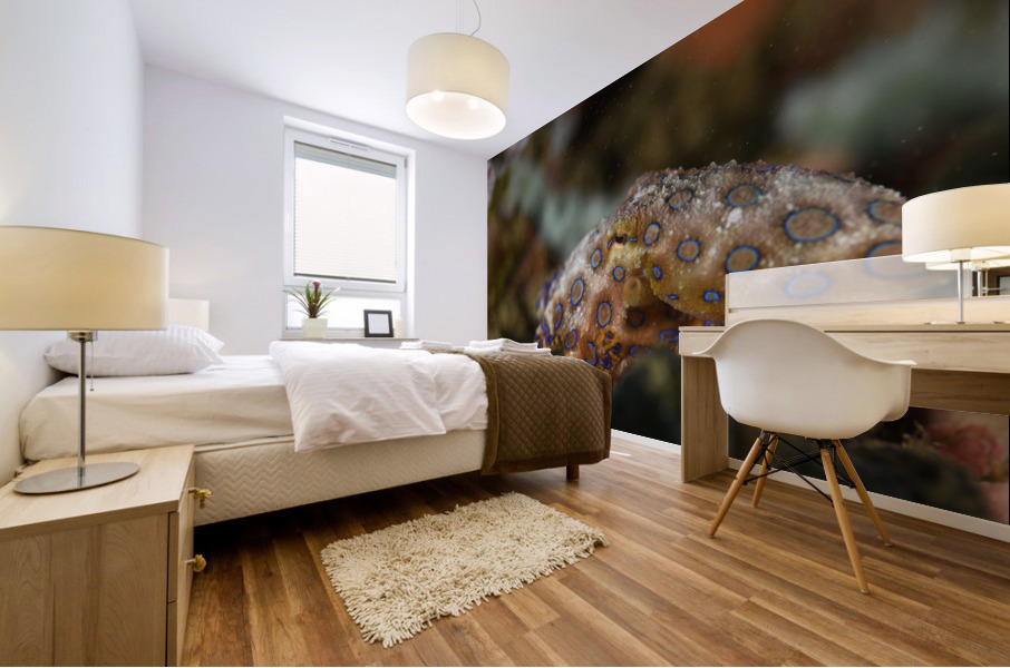 Philipines 378 Mural print