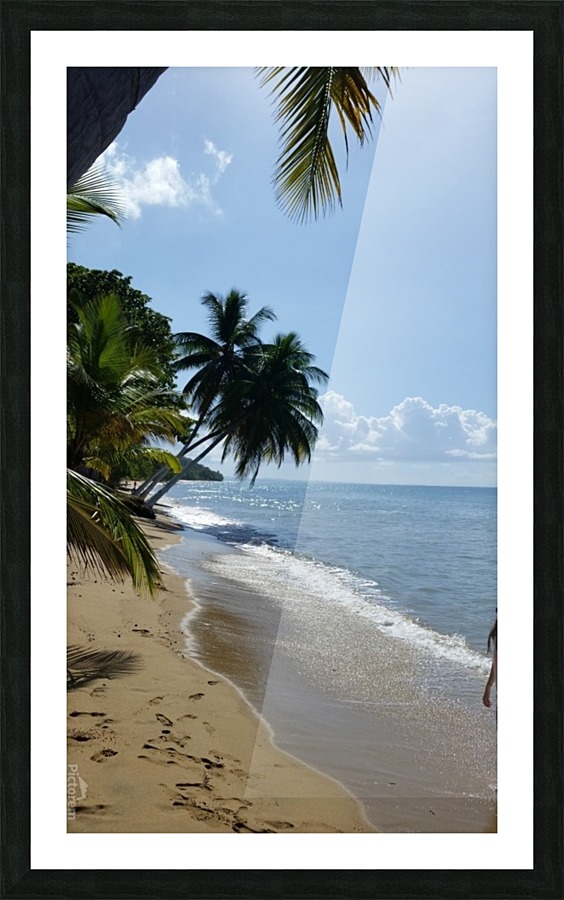 Beach View Picture Frame print