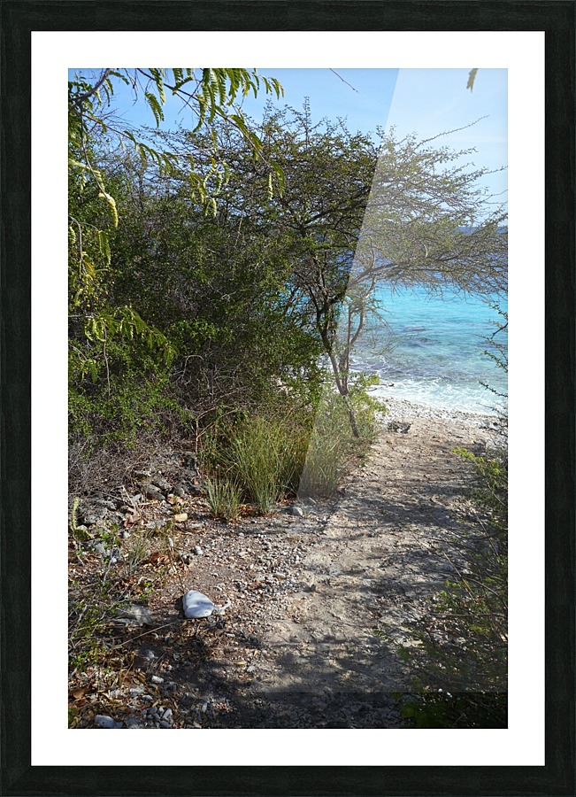 Bonaire Pathway Picture Frame print