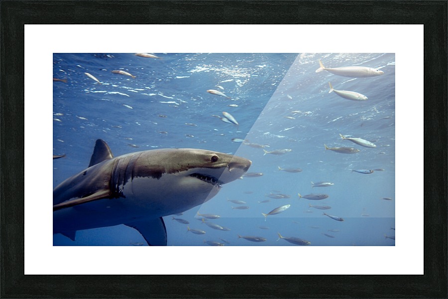 Great Picture Frame print
