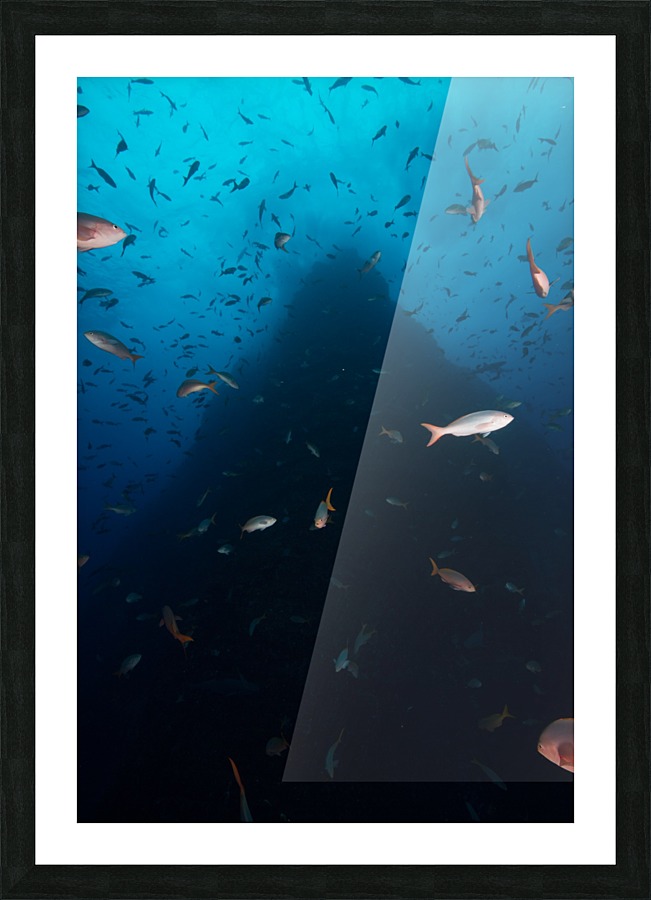 Up Shot Picture Frame print