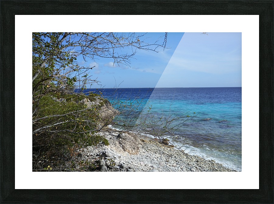 Bonaire Beach Scape Picture Frame print