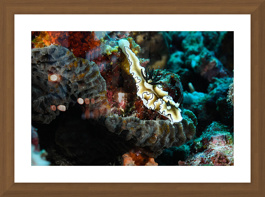 Philipines 52 Picture Frame print