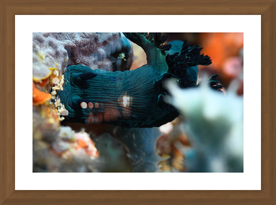 Philipines 58 Picture Frame print