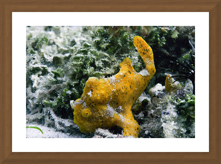 Philipines 22 Picture Frame print
