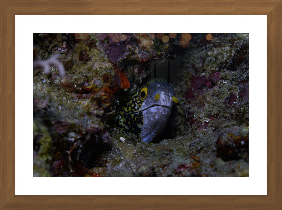 Philipines 30 Picture Frame print