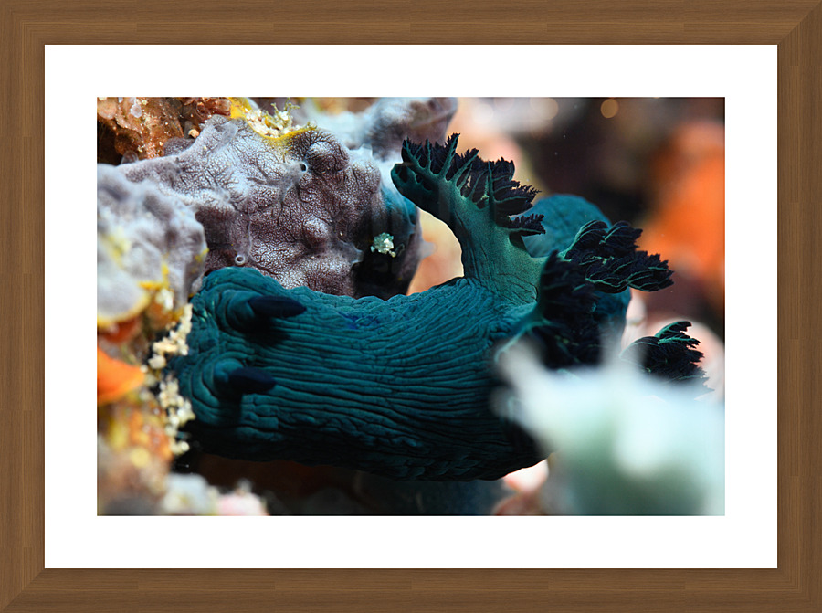 Philipines 59 Picture Frame print