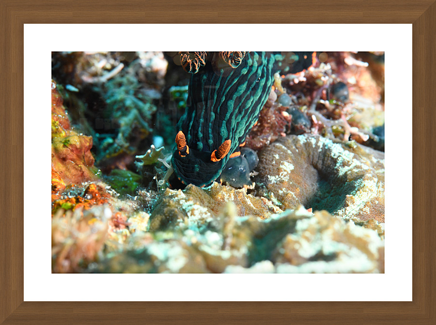 Philipines 50 Picture Frame print