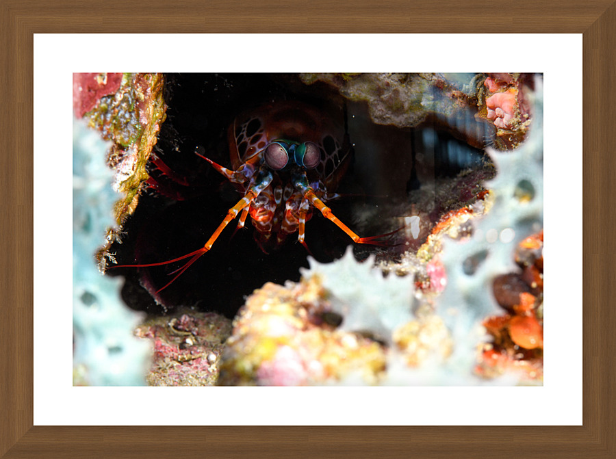Philipines 35 Picture Frame print