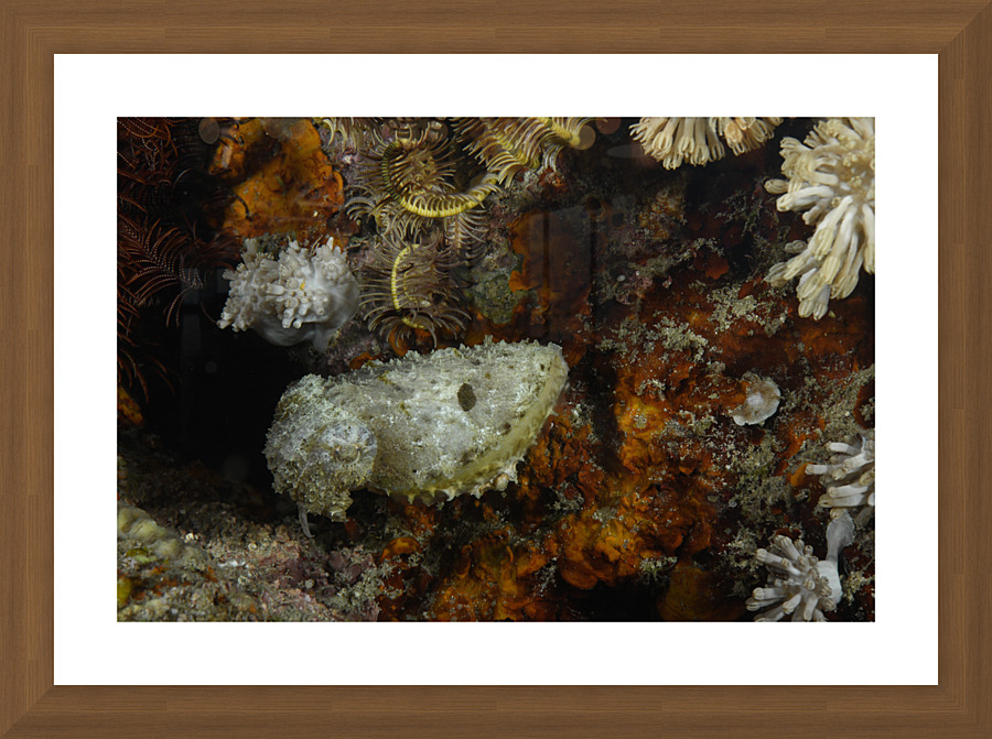 Philipines 93 Picture Frame print