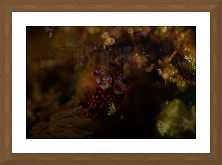 Philipines 113 Picture Frame print