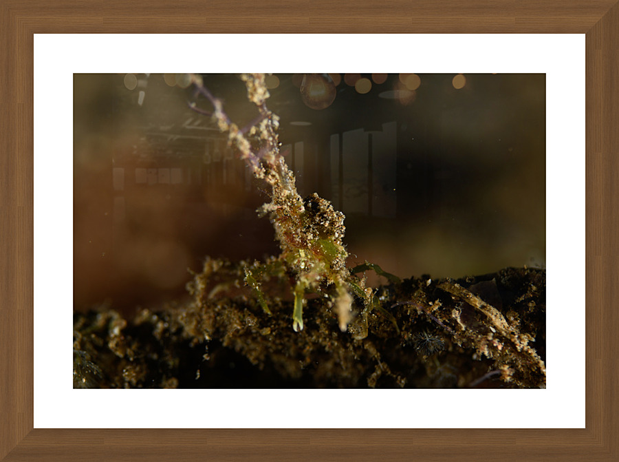 Philipines 180 Picture Frame print