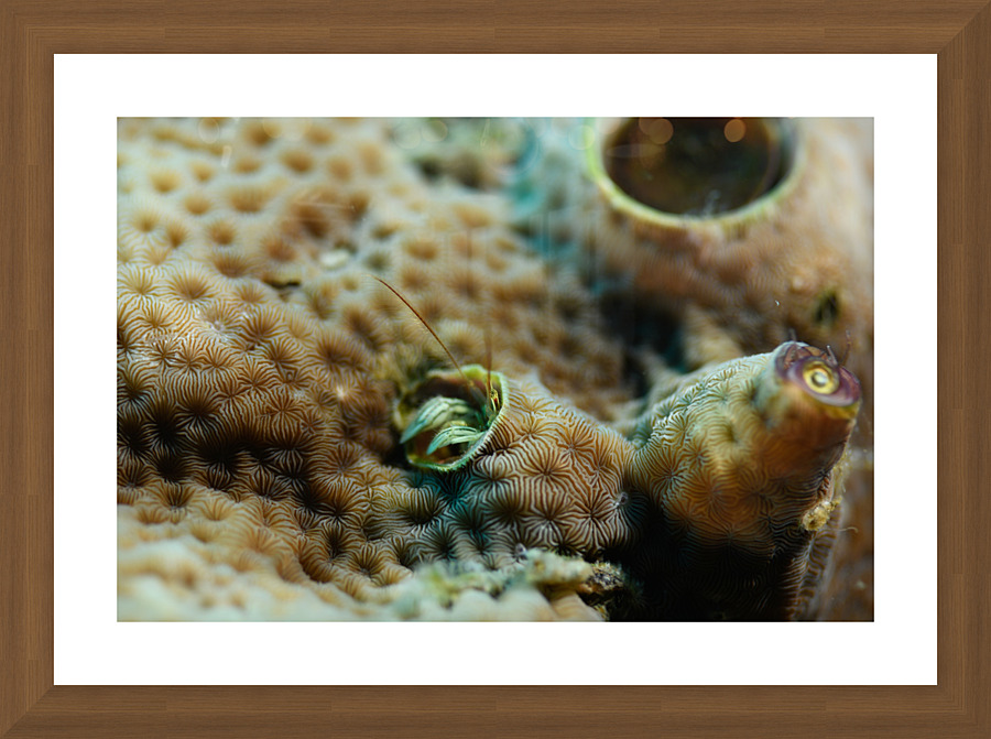 Philipines 211 Picture Frame print